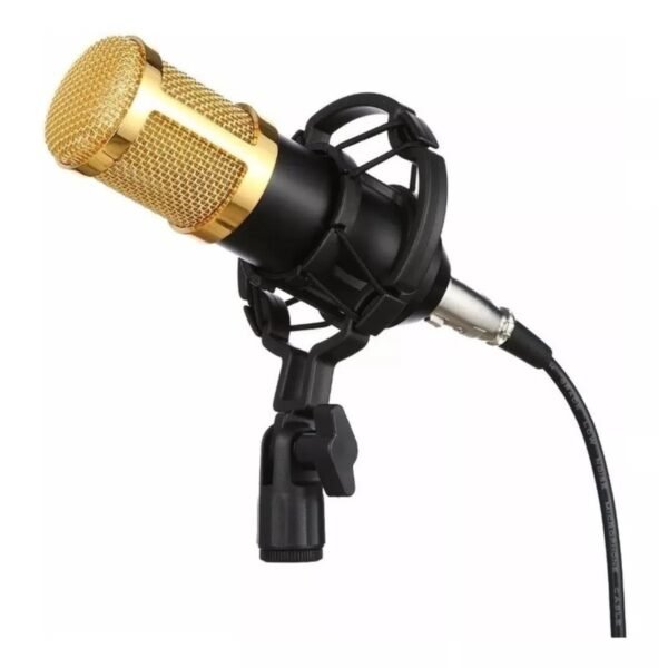 Microfone Condensador Profissional BM-800